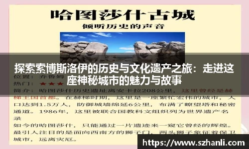 探索索博斯洛伊的历史与文化遗产之旅：走进这座神秘城市的魅力与故事